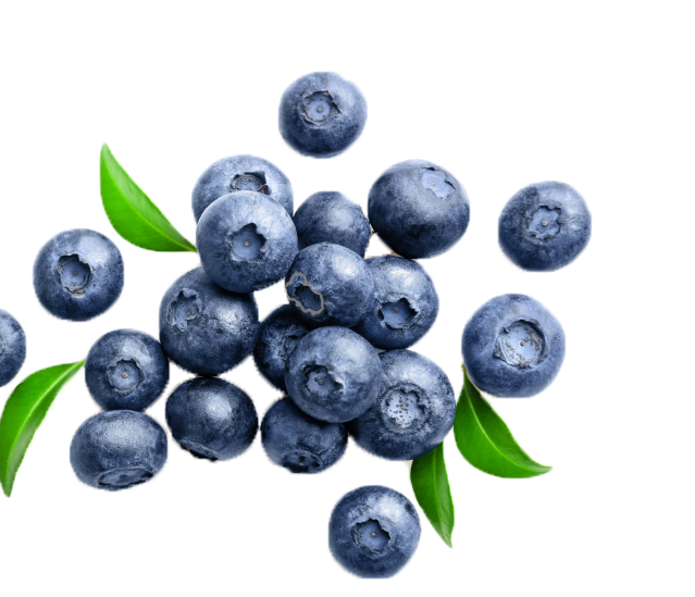 עצים כשרים