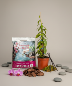 מצע שתילה לסחלבים